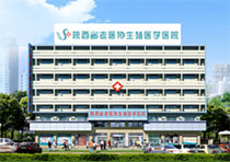實驗室振動篩價格